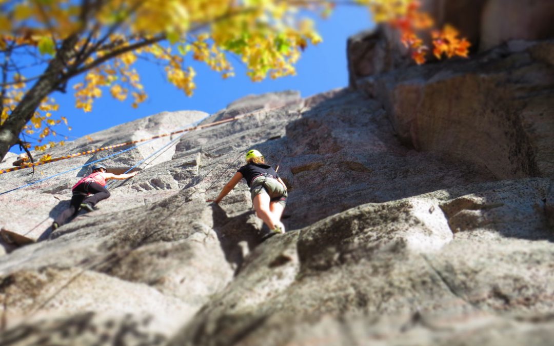 Saint-Félix de Dalquier