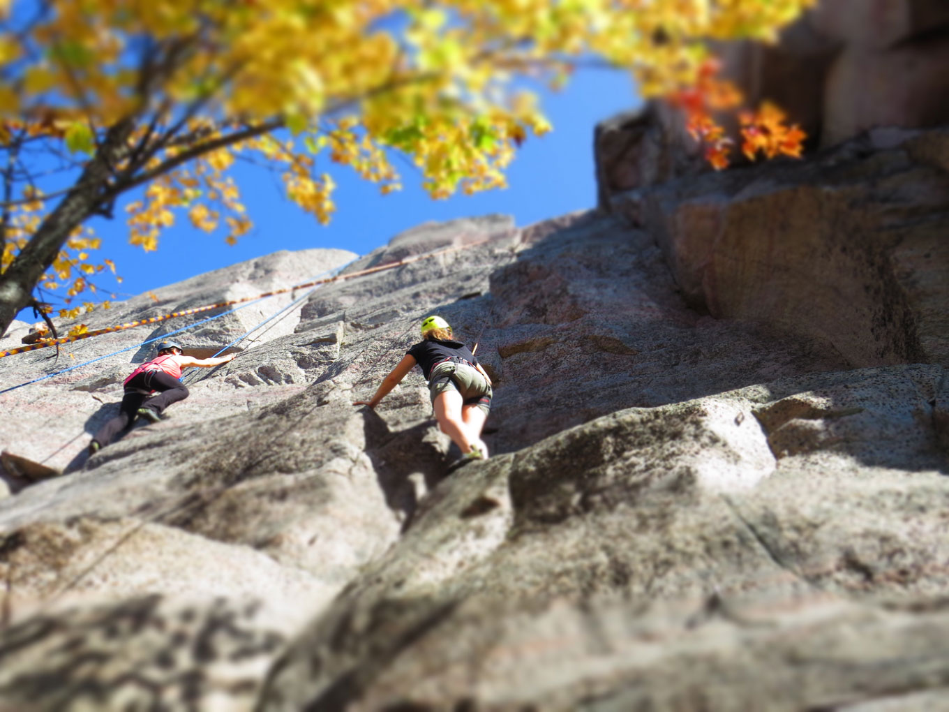 SaintFélix de Dalquier Le Rappel du Nord